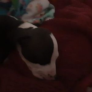 Meet your Posher, Johnathon